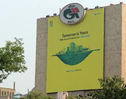 Cut gas from non-priority areas for retail needs: Govt to Gail